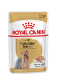 Rc kapsa Dog Yorkshire
